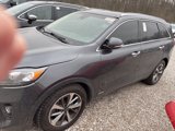 Used 2019 Kia Sorento EX w/ EX Touring Package image 2