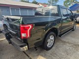 Used 2016 Ford F150 XLT w/ Equipment Group 302A Luxury image 5