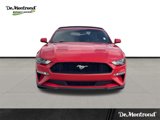 Used 2020 Ford Mustang Premium image 2
