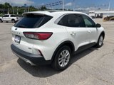 Used 2020 Ford Escape SE image 4