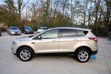 Used 2017 Ford Escape SE w/ Equipment Group 201A image 4
