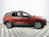 Used 2021 Ford Escape SEL w/ Technology Package image 2