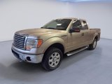 Used 2011 Ford F150 XLT w/ XLT Chrome Pkg image 3