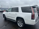 Used 2019 Cadillac Escalade Luxury image 6