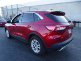 Used 2021 Ford Escape SE image 4