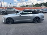 Used 2022 Ford Mustang Premium image 6