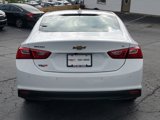 Used 2024 Chevrolet Malibu LT image 5