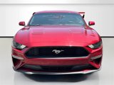 Used 2019 Ford Mustang Coupe image 2