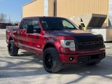 Used 2013 Ford F150 Platinum image 3