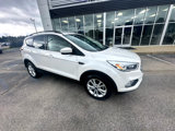 Used 2018 Ford Escape SEL image 2