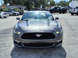 Used 2016 Ford Mustang Premium w/ Enhanced Security Package image 2