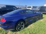 Used 2016 Ford Mustang Coupe w/ Equipment Group 051A image 3