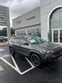 Used 2021 Jeep Cherokee Trailhawk w/ Premium Leather Package image 4