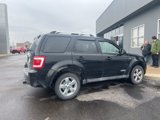 Used 2008 Ford Escape Limited image 5