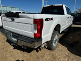 Used 2019 Ford F250 XLT image 4