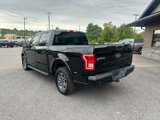 Used 2016 Ford F150 XLT w/ Equipment Group 301A Mid image 5