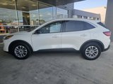 Used 2022 Ford Escape SE image 2