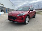 Certified 2022 Ford Escape SE w/ Cold Weather Package image 4