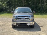 Used 2014 Ford F150 XLT w/ Equipment Group 302A Luxury image 2