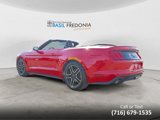 Used 2018 Ford Mustang Premium w/ Equipment Group 201A image 3