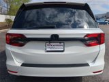 Certified 2023 Honda Odyssey Sport image 5