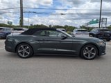 Used 2015 Ford Mustang Convertible w/ Equipment Group 051A image 2