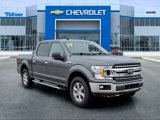 Used 2019 Ford F150 XLT w/ Equipment Group 302A Luxury image 2