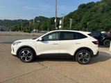 New 2025 Ford Escape ST-Line Elite w/ Tech Pack #1 image 4