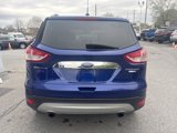 Used 2014 Ford Escape Titanium image 5