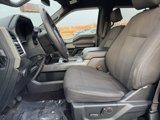 Used 2015 Ford F150 XLT w/ Equipment Group 302A Luxury image 4