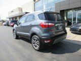 Used 2019 Ford EcoSport Titanium image 5