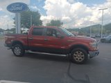 Used 2014 Ford F150 XLT w/ Equipment Group 302A Luxury image 3