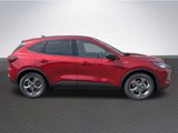 New 2025 Ford Escape ST-Line w/ Tech Pack #1 image 4