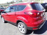 Used 2019 Ford Escape Titanium image 5
