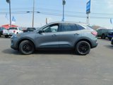 Used 2021 Ford Escape SE image 6