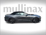Used 2018 Ford Mustang Premium w/ Equipment Group 201A image 2