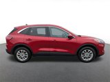Used 2020 Ford Escape SE image 2