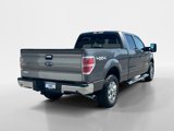 Used 2014 Ford F150 XLT w/ Equipment Group 302A Luxury image 5