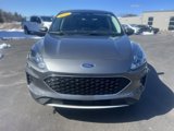 Used 2022 Ford Escape SE w/ Convenience Package image 2