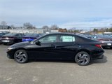 New 2025 Hyundai Elantra Sport image 2