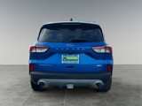 Used 2020 Ford Escape Titanium image 6
