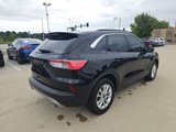 Used 2021 Ford Escape SE w/ Convenience Package image 3