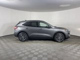 Used 2022 Ford Escape SEL image 5