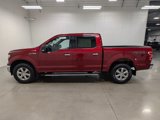 Certified 2018 Ford F150 XLT w/ Equipment Group 301A Mid image 1