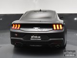 Used 2024 Ford Mustang Coupe image 5