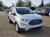 Used 2021 Ford EcoSport SE w/ SE Convenience Package image 3