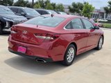 Used 2019 Hyundai Sonata SE image 5