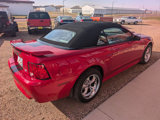 Used 2001 Ford Mustang GT image 5