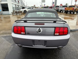 Used 2006 Ford Mustang GT image 4
