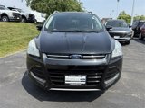 Used 2015 Ford Escape Titanium image 5